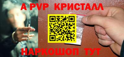 спиды Донской