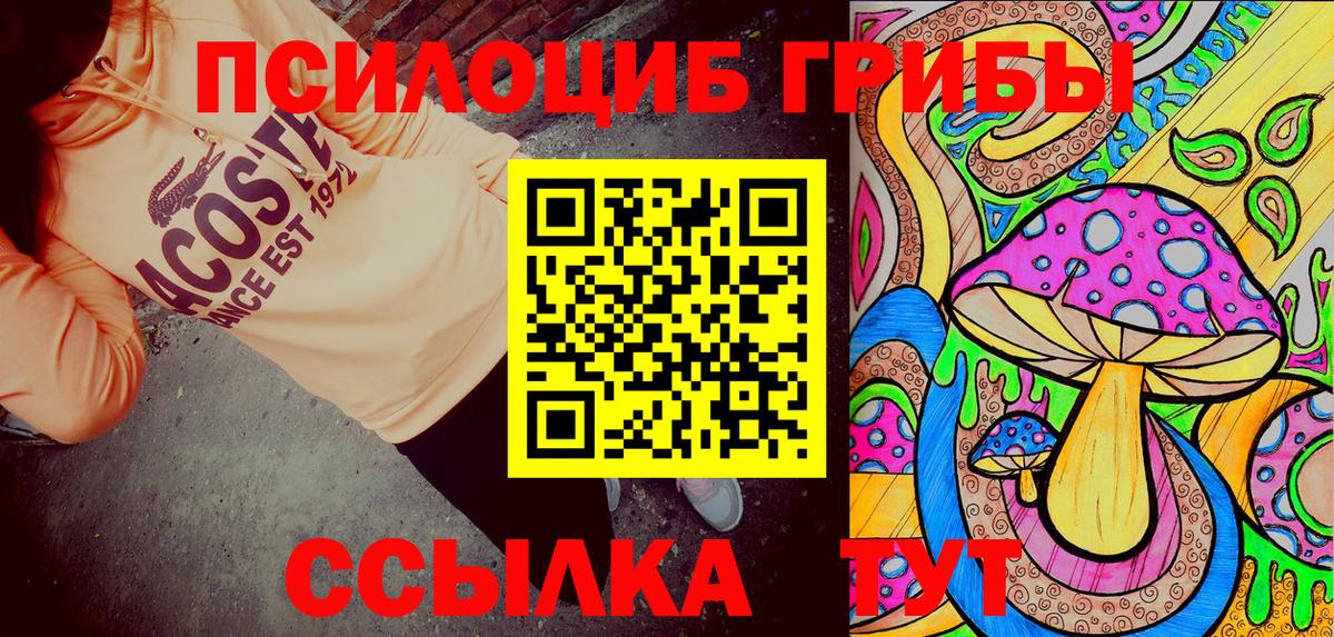 Нерюнгри  Галлюциногенные грибы Psilocybe  Вход с VPN 